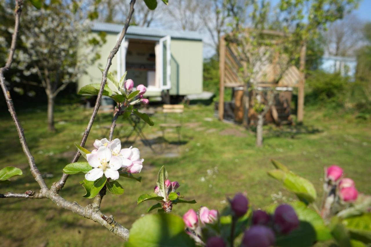 Apartament Hillcrest Hut Tenby Zewnętrze zdjęcie