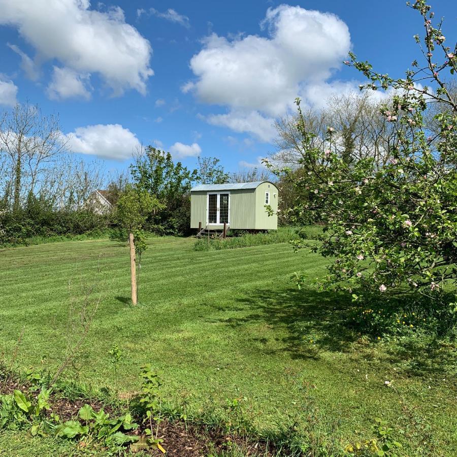 Apartament Hillcrest Hut Tenby Zewnętrze zdjęcie