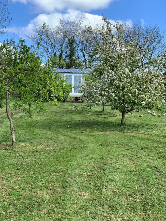 Apartament Hillcrest Hut Tenby Zewnętrze zdjęcie