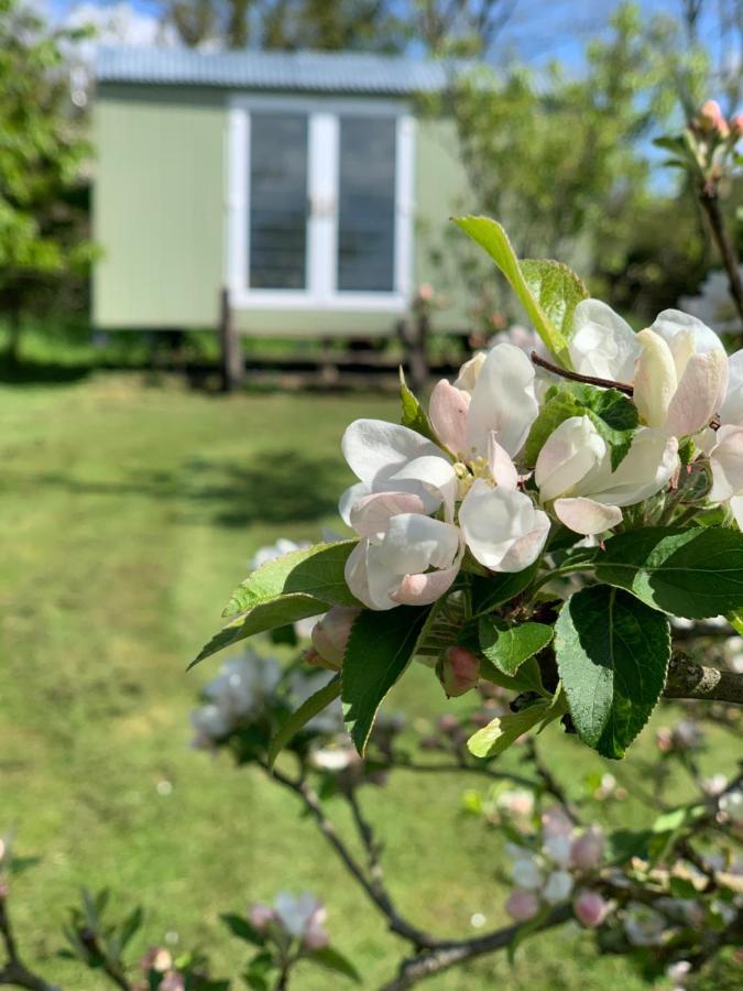 Apartament Hillcrest Hut Tenby Zewnętrze zdjęcie