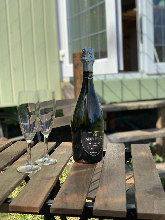 Apartament Hillcrest Hut Tenby Zewnętrze zdjęcie